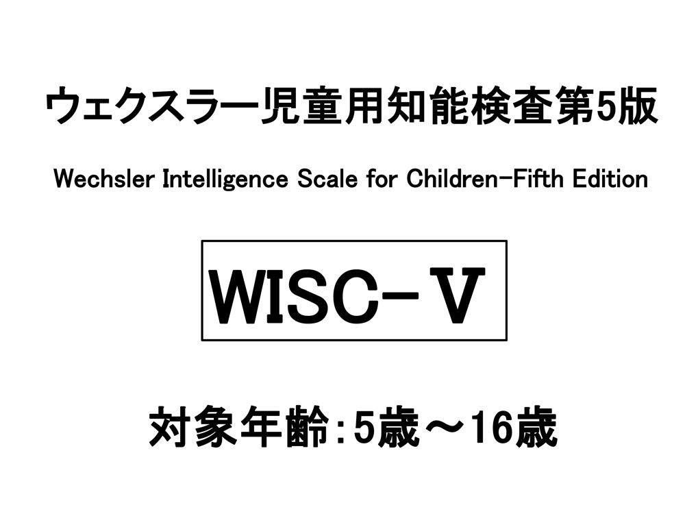 WISC-Ⅴ（ウイスク-ファイブ）